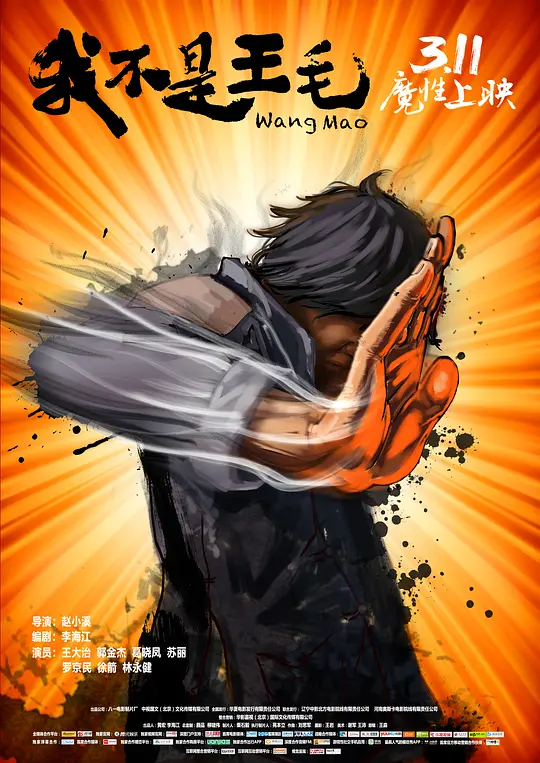 我不是王毛 2014 我不是王毛 2014